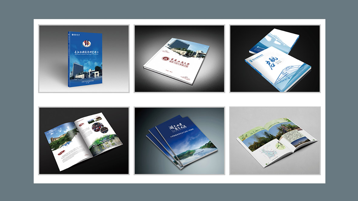 部分畫冊案例展示